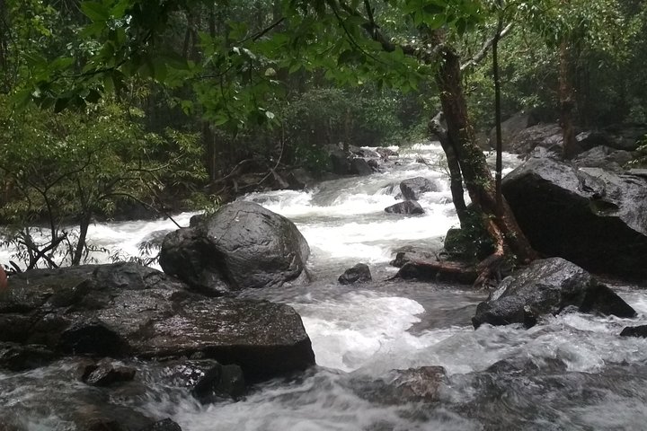 Dudhsagar Waterfalls Tour Jeep Safari og Spice Plantation Besøg