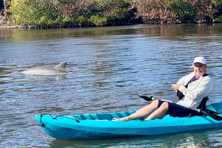 Ormond Beach Manatee og naturtur Kajakkpadling eller padleboarding