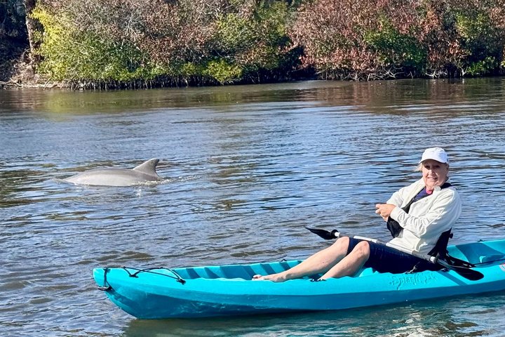 Hoteller i nærheden af Daytona Beach Dolphin & Manatee Kayak Wildlife Adventure