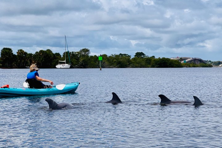 Hoteller i nærheden af Daytona Beach Dolphin & Manatee Kayak Wildlife Adventure