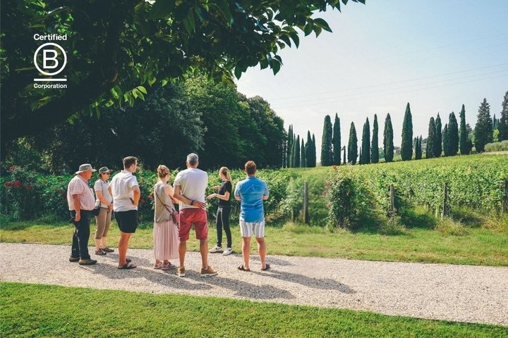 Amarone Wine Tasting Tour fra Verona med privat transport