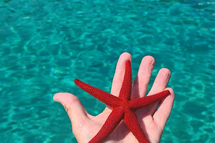 Zadar: Tour en barco en grupo pequeño con bebidas y snorkel