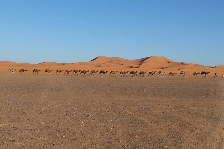 Privat taxi från Erfoud till Merzougaöknen