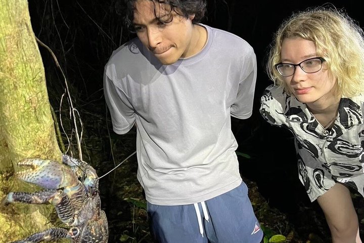 Okinawa Miyako Sternennacht Dschungel- und Wildtiertour mit Abholung