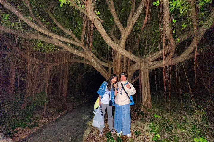 Okinawa Miyako Sternennacht Dschungel- und Wildtiertour mit Abholung