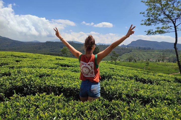 Nuwara Eliya Theeplukken en Proe-tochten Watervaltochten