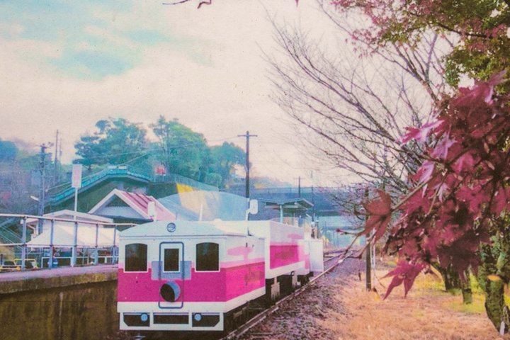 Private Takachiho Tour (With Miyazaki Hotel Pickup)