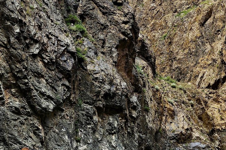 6-daagse Gobi woestijntour in Mongolië met nomadisch verblijf