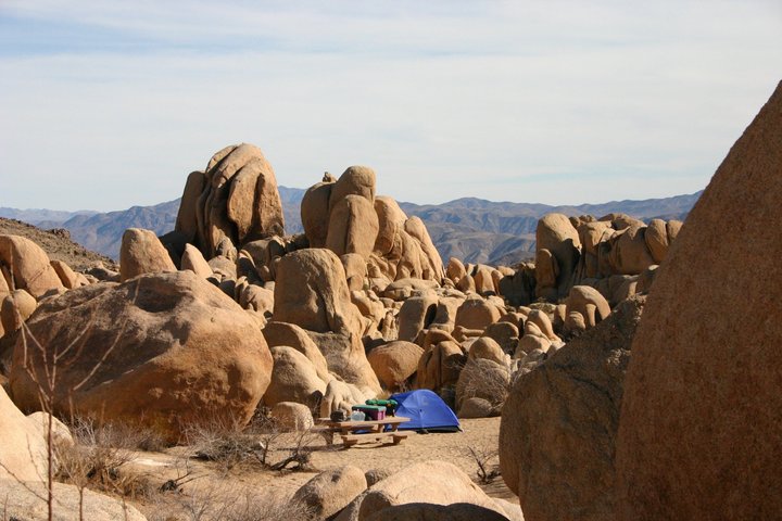 Excursión de un día al Parque Nacional Joshua Tree desde Los Ángeles