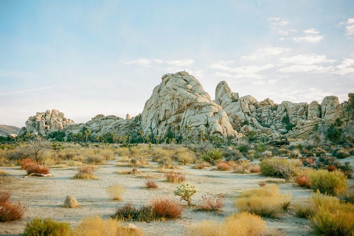 Excursión de un día al Parque Nacional Joshua Tree desde Los Ángeles