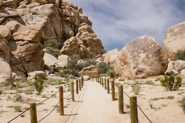 Excursión de un día al Parque Nacional Joshua Tree desde Los Ángeles