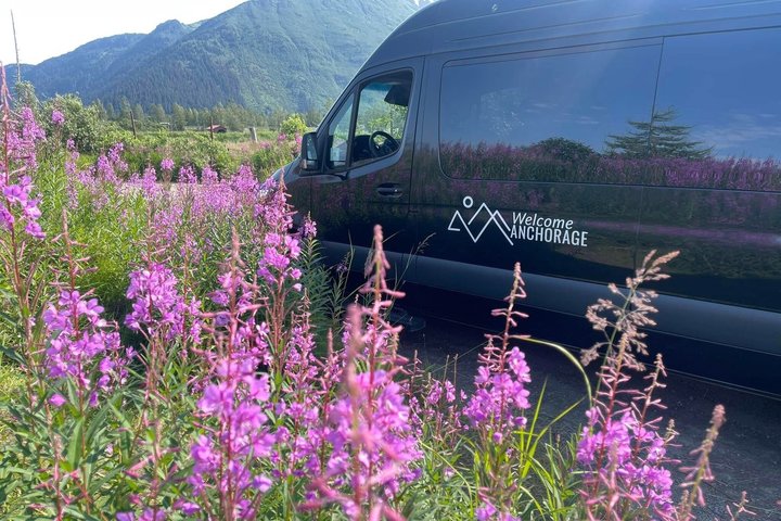 Tour avventuroso con vista sul ghiacciaio e fauna selvatica di Anchorage