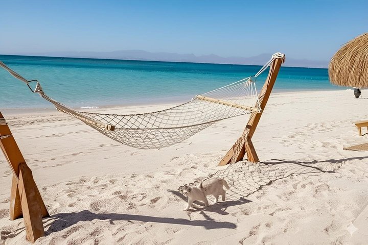 Privat båd , fiskeri , snorkling , delfiner & frokost – Hurghada
