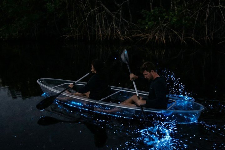 Restauranter i nærheten av Bioluminescence Clear Kayak & Paddleboard Tour