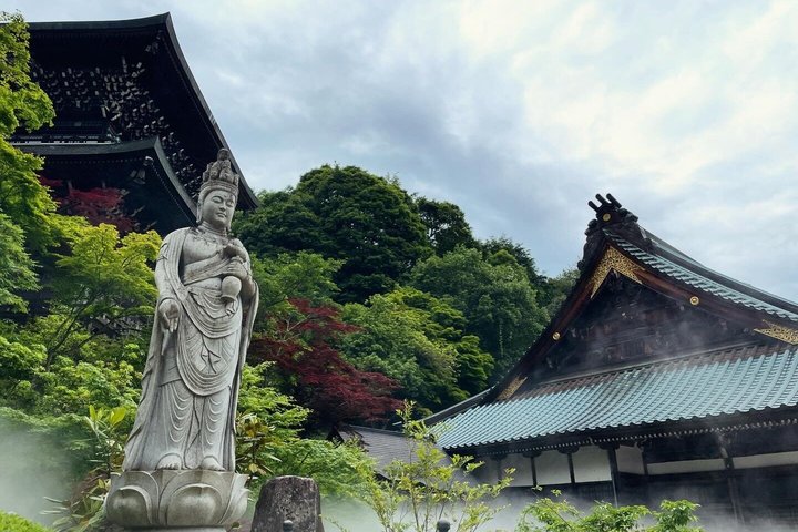 Private Miyajima : Itsukushima Shrine, Island Natur og lokal Guide