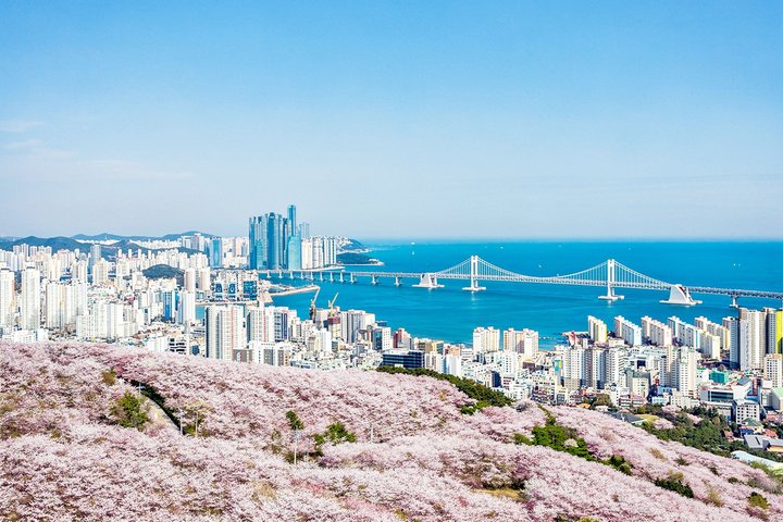 Beste kysthøydepunkter i Busan med Gamcheon Village & Sky Capsule