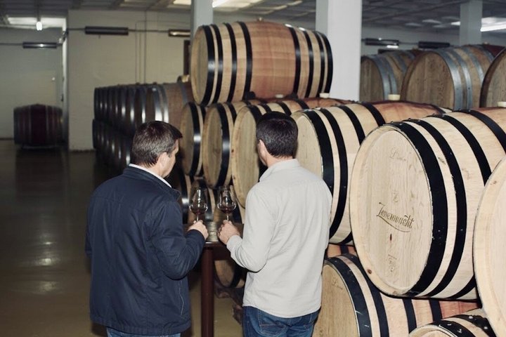 Excursión de medio día a Stellenbosch Winelands desde Ciudad del Cabo