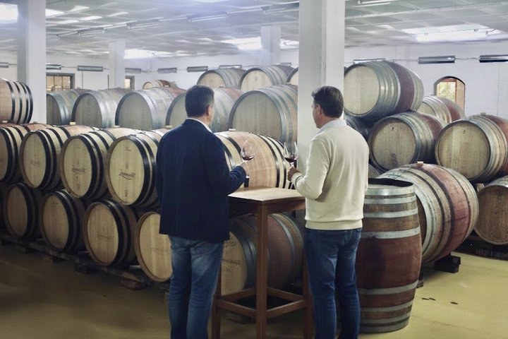 Fuld-dags Stellenbosch og Franschhoek Wine Tour fra Cape Town