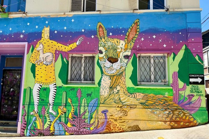 Tour Premium a Valparaíso y Viña del Mar desde Santiago