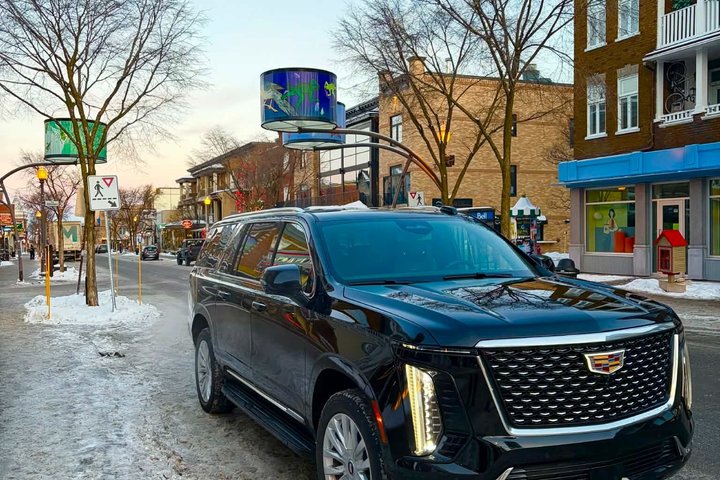 Descubra Quebec con un recorrido privado de 4 horas por la ciudad