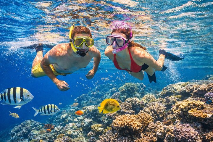 Sharm El Naga Journée complète de plongée avec tortues et déjeuner – Hurghada