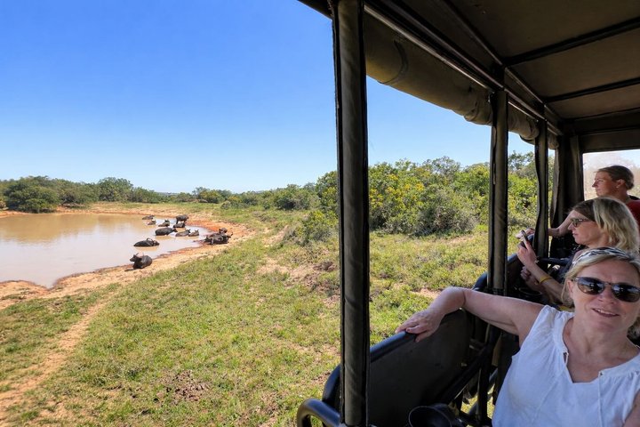 2 Tage Addo Elephant und Schotia Safari ab Port Elizabeth