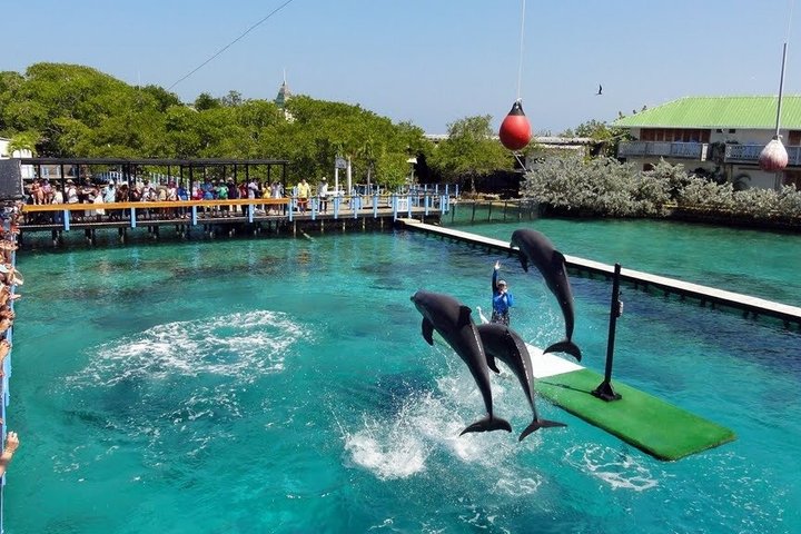 4 Islands Tour Cartagena med snorkling, Cholon og lunsj