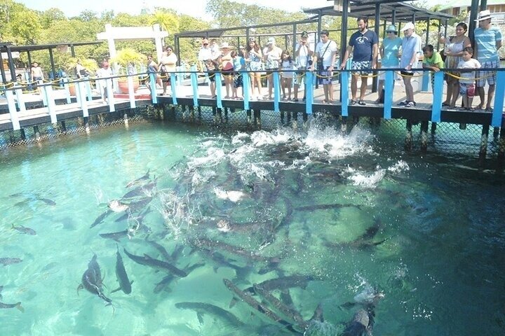 4 Islands Tour Cartagena med snorkling, Cholon og lunsj