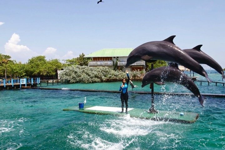 4 Islands Tour Cartagena med snorkling, Cholon og lunsj