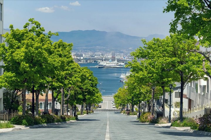 Hakodate/Hokkaido Private Tour with Local Guide
