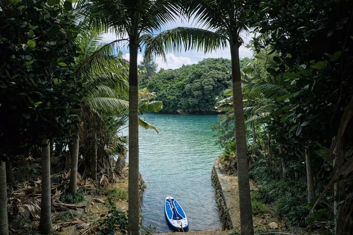 Miyako Island: Privat tur med en flytande Engelska-talande Guide