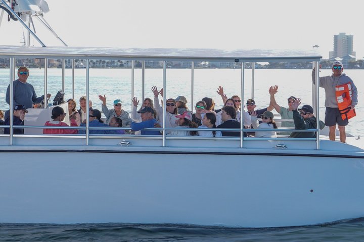Pensacola Beach Jolly Dolphin Cruise og Scenic Bay Tour