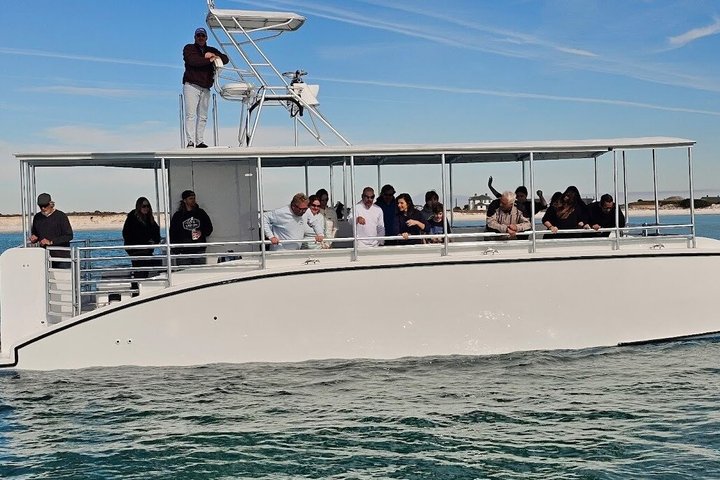 Pensacola Beach Jolly Dolphin Cruise og Scenic Bay Tour