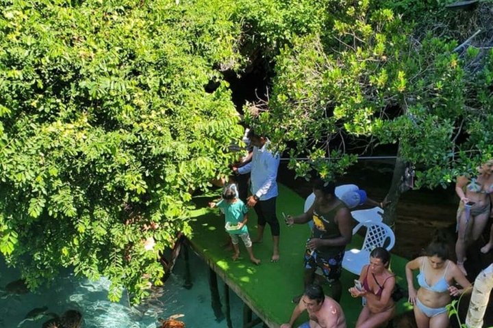 Natación con tortugas marinas y bosque de Jozani en Zanzíbar