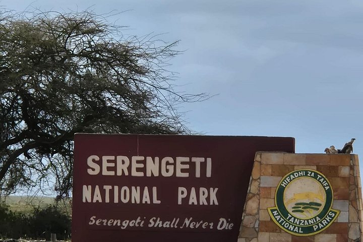3 - Jours Serengeti & Ngorongoro Crater Safari Big Five Experience