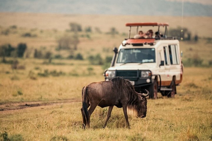 3 - Jours Serengeti & Ngorongoro Crater Safari Big Five Experience