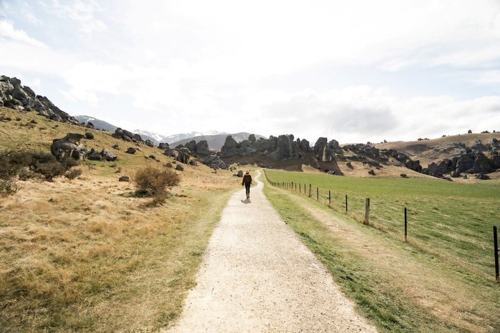 TranzAlpine Trein naar Arthur's Pass vanuit Christchurch met lunch