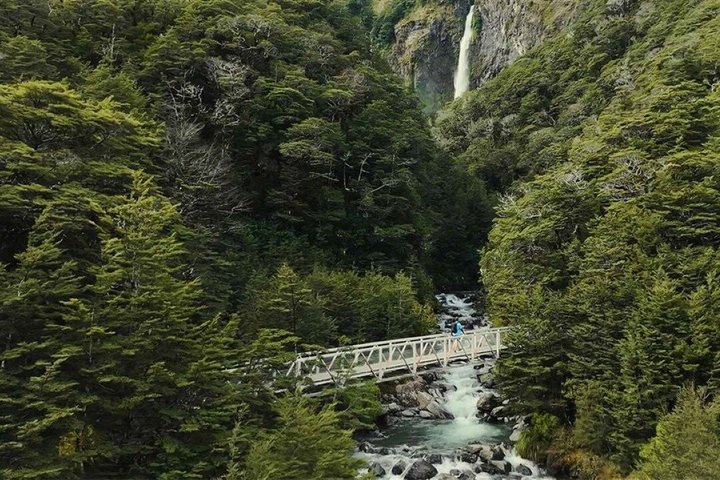 TranzAlpine Trein naar Arthur's Pass vanuit Christchurch met lunch