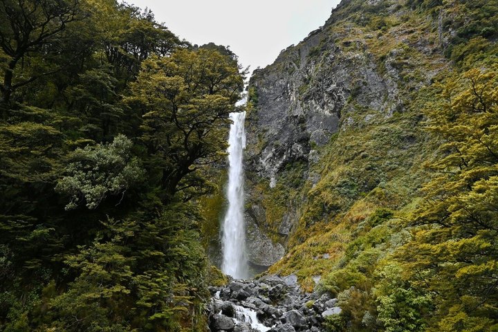 TranzAlpine Trein naar Arthur's Pass vanuit Christchurch met lunch