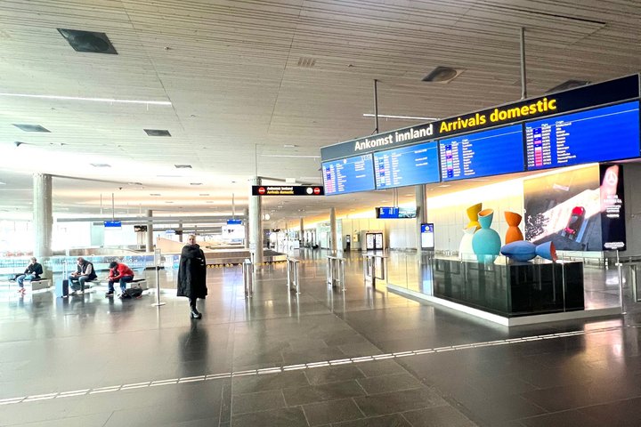 Servizio di trasferimento dall'aeroporto privato/hotel di Oslo || Italiano