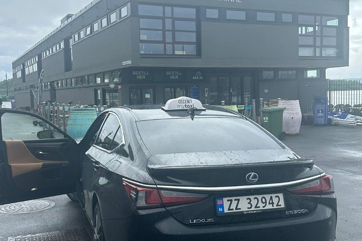 Servizio di trasferimento dall'aeroporto privato/hotel di Oslo || Italiano