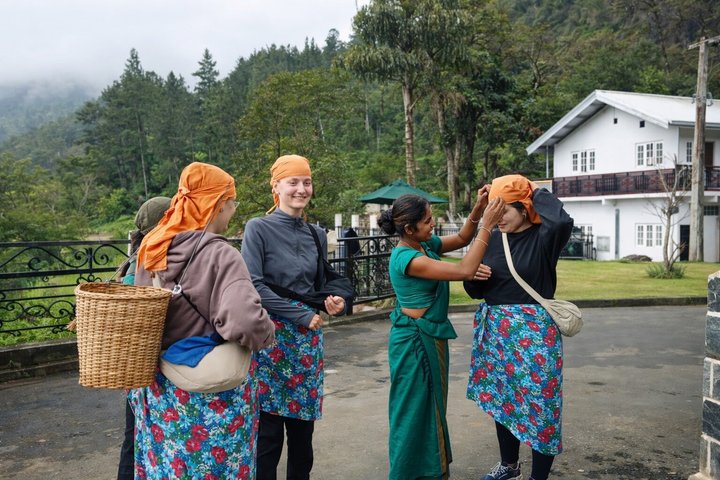 Nuwara Eliya Theeplukken en Proe-tochten Watervaltochten