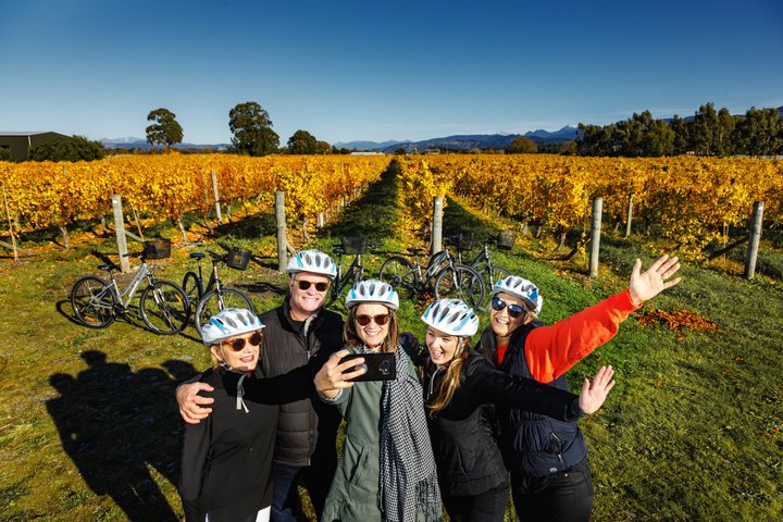 Selvstyrt sykkeltur (hel dag) i Marlborough-regionen.