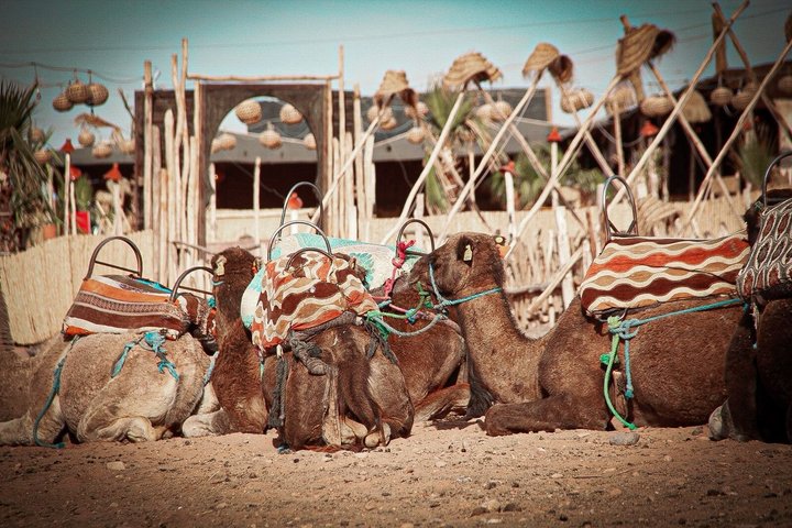 Marrakech Agafay Desert Dinner Quadbiking Sunset Kamel Ride