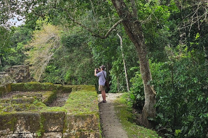 Private Tikal VIP Tour from Flores or Mayan World Airport