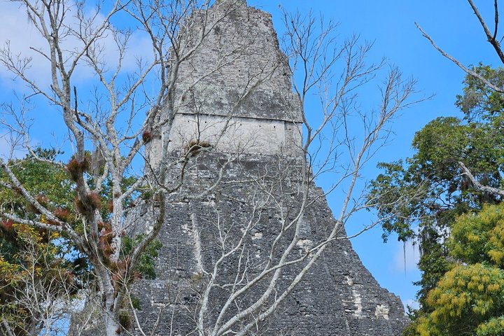 Private Tikal VIP Tour from Flores or Mayan World Airport