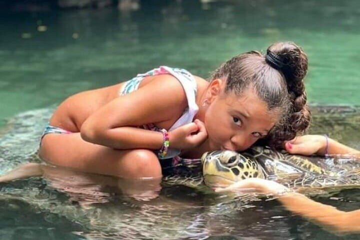Natación con tortugas marinas y bosque de Jozani en Zanzíbar