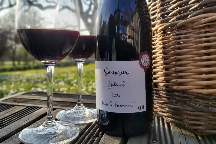 Degustazione di vino con il produttore di vino al Domaine Beaumont Distré-Saumur
