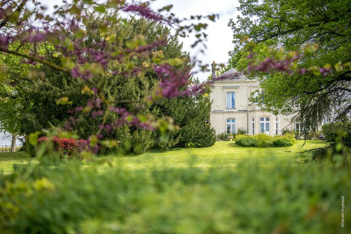 De la vid al vino en Domaine Beaumont Distré-Saumur