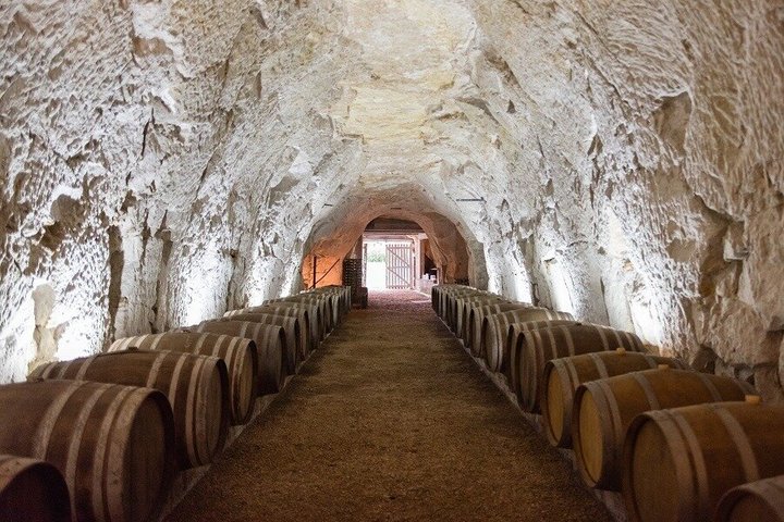 De la vid al vino en Domaine Beaumont Distré-Saumur